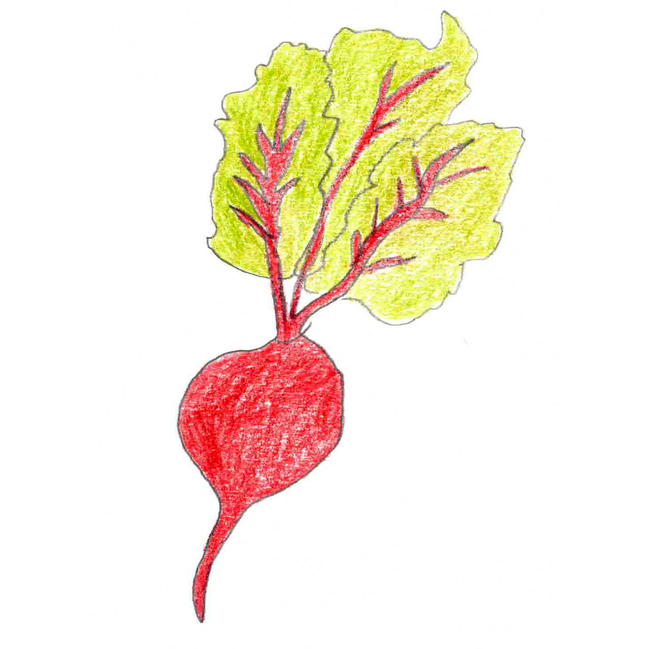 nutzgartenblog.de